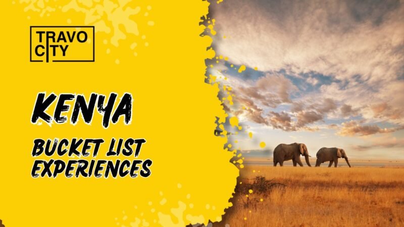 Bucket List Experiences in Kenya: Unforgettable Adventures in the Heart of Africa 4 Kenya travocity