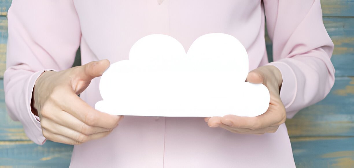 Disclaimer-travocity